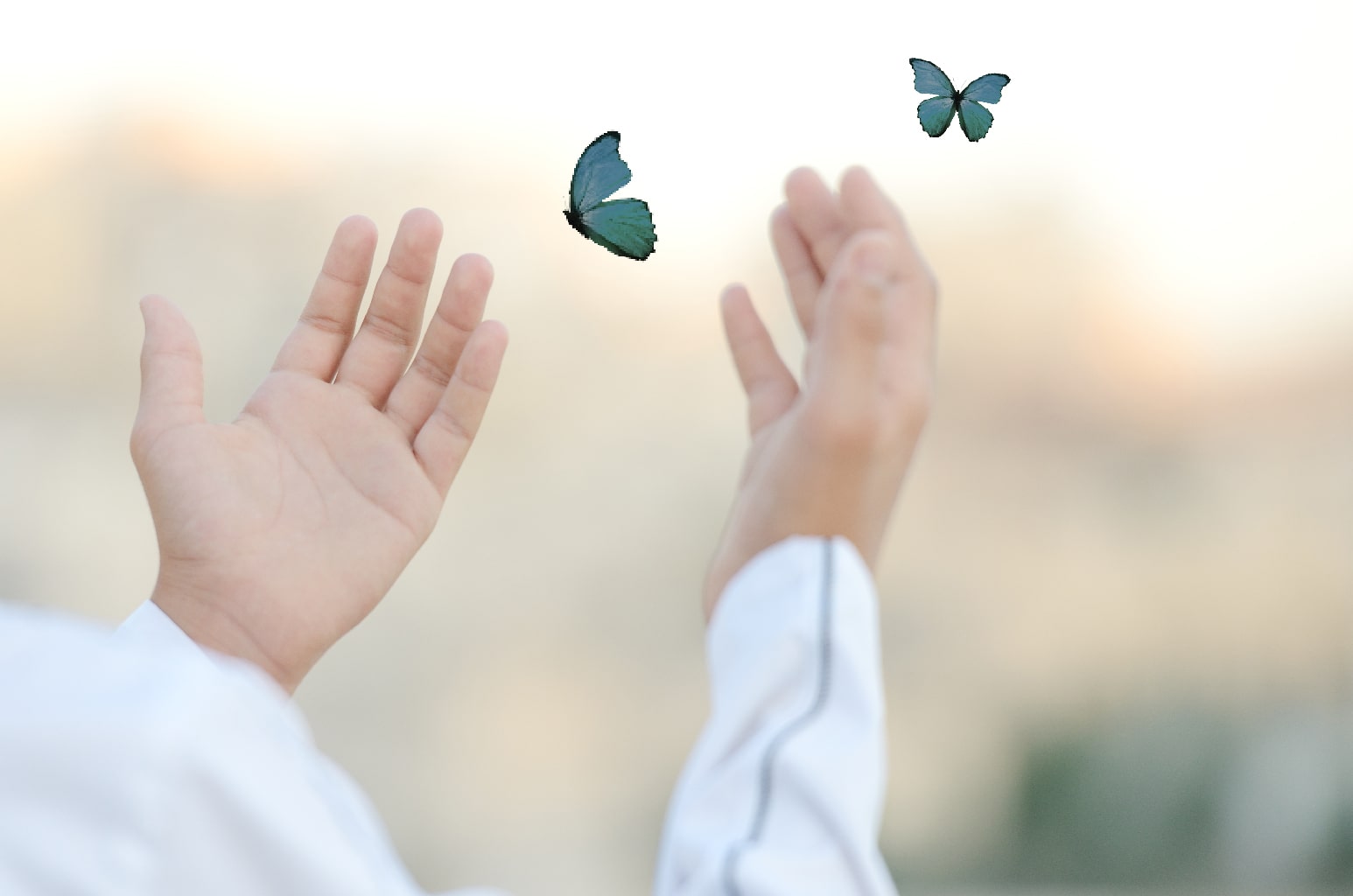 How Can I Make My Zakat and Fitra Donation?